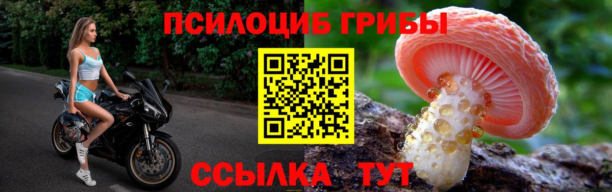 продажа наркотиков  Псилоцибиновые грибы MAGIC MUSHROOMS  Вход с VPN  Полевской  Псилоцибиновые грибы Cubensis 